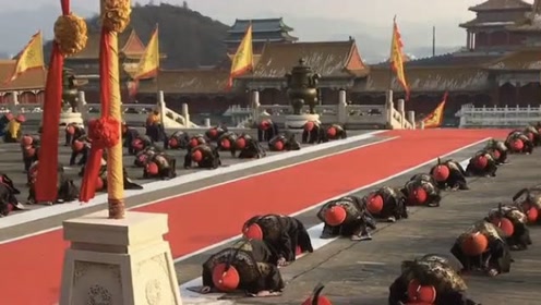 皇上登基满朝文武叩拜是怎样壮观的场面