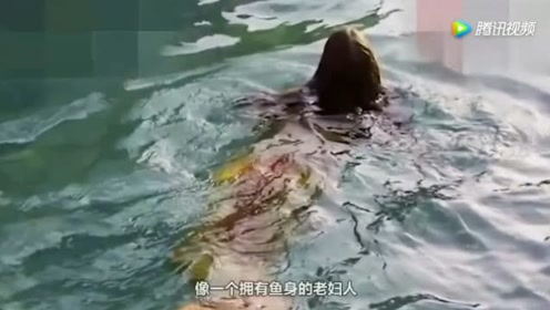 世界上真的有美人鱼吗?今天可算知道了