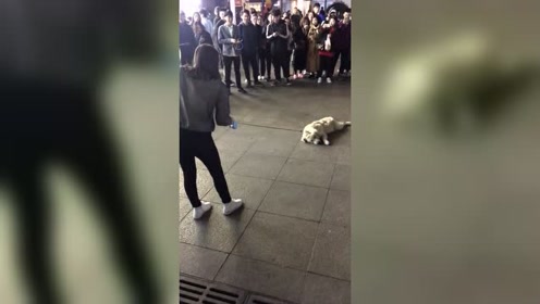 跟女人逛街累成狗,总算见识到了,真的是开眼了!