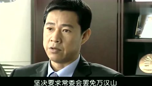 龙年档案:罗市长态度很坚决,必须要罢免,龙书记的亲信