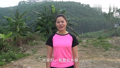 砍伐证办下来了,就要砍树了,壮乡妹好高兴,先办个仪式海喝一顿