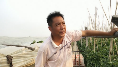 农村50岁残疾人大叔,1年领多少补贴钱?通过干啥成功脱贫