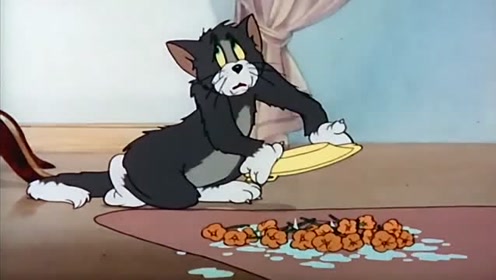 猫和老鼠:汤姆影帝级别演技,哭得太痛心,女主人都信了!