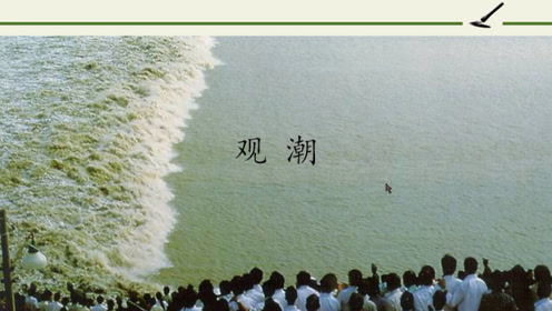 四年级语文《1.观潮》