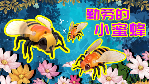 蜜蜂被称为动物界的劳模?_09拉贺尔鸽子图片