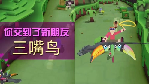 疯狂动物园:丛林中的三嘴鸟