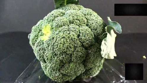 西蓝花不好保存?买菜大妈教你一招,不需要冰箱,一个月都不会坏掉.