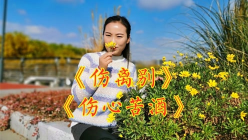 梅朵一首《多情的牵挂》送给远方的你,是否也会把我