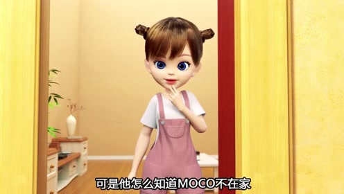 飞狗moco:什么?狗狗被车撞了要怎么办?