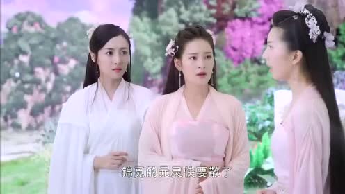 香蜜沉沉烬如霜:锦觅的元灵终于重聚,花界众芳主打开时间画廊全力相救