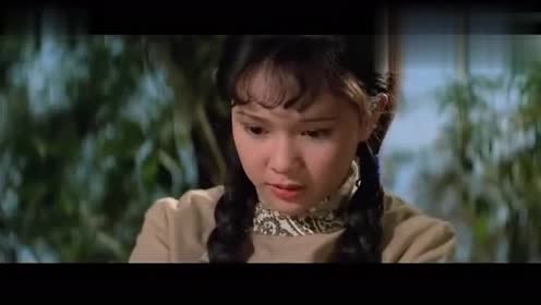 邵氏经典武侠老电影,洪拳与咏春