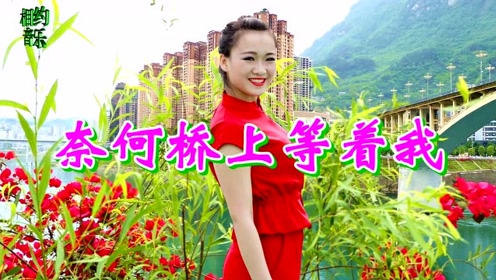 悲伤情歌《奈何桥上等着我》,太伤感了,听哭了多少痴情人!