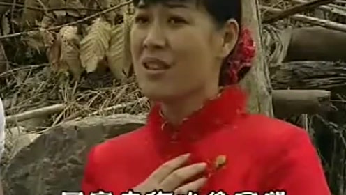 民间小调:【春生跪地赔情,内心愧疚,悔恨】