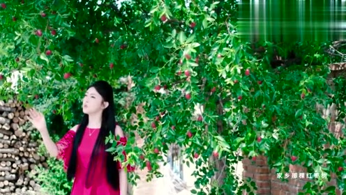 《红枣树》任妙音
