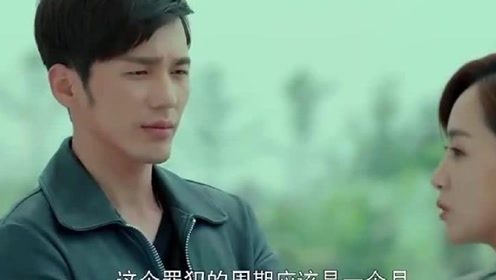 美人为馅:面对白锦曦的犯罪心理结论,韩沉只用了三字评价她
