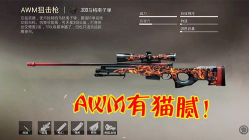 和平精英:awm伤害数据有猫腻?命中载具能击杀,打人却无伤!