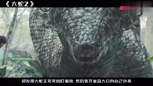 《大蛇2》人类被巨型蛤蟆追杀,一条巨蛇出现,一口吞掉了大蛤蟆