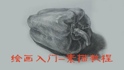绘画初学者素描绘画教程零基础入门-素描辣椒-合尚教育