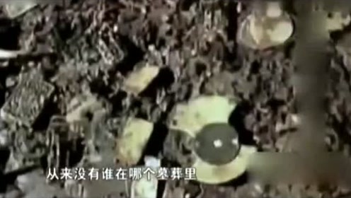 专家挖掘千年古墓，专家进入后，墓内飘出一个红色东西