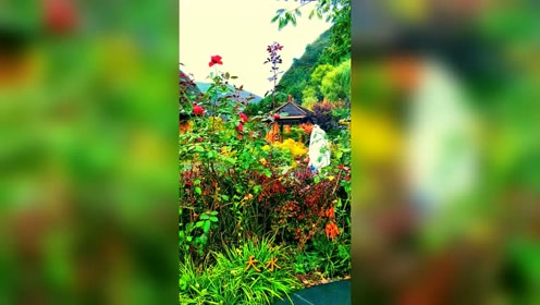 神奇的甘肃有西藏式的蓝天，有江南水乡的秀美，还有西北特有的瑰丽