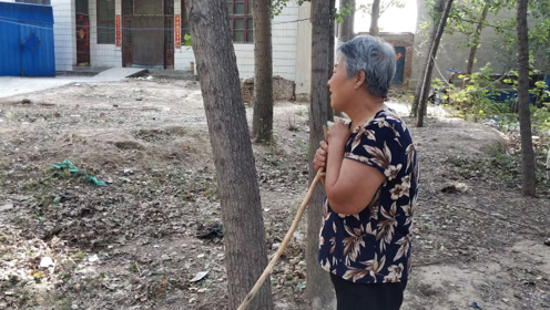 一只小羊羔卖多少钱?农村大娘告诉你真实收入,多么