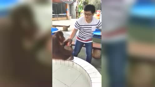 网红耿哥的日常梳头,这操作一般人玩不了,网友真是太奇葩了!