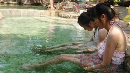 女子做全身鱼疗,不料太舒服没忍住,下一秒一池鱼全翻肚子了!