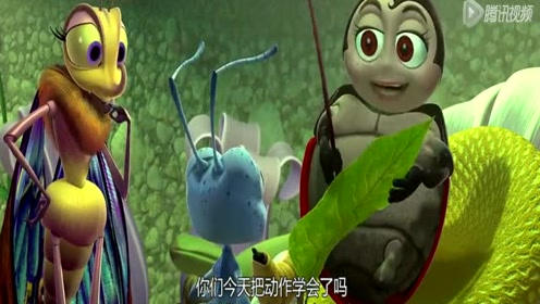 虫虫特工队 :蚂蚁们给战士们的签名