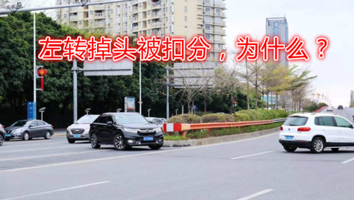 在路口绿灯时掉头,却被扣分了,新手开车时这个细节要特别注意