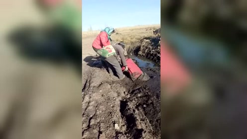 大哥陷入泥潭,还好及时发信,这要是发现晚了后果不堪设想