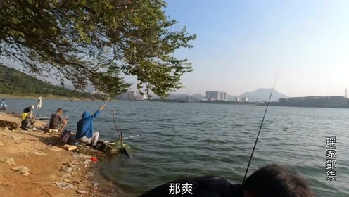 东莞长安,又发现一个可以钓鱼的地方,不收费,离五点梅水库很近