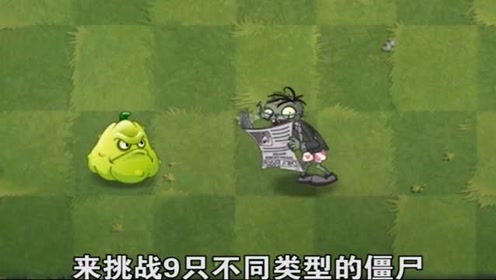 植物大战僵尸:当2代报纸僵尸pk一群僵尸,谁会赢?结局太出乎意料