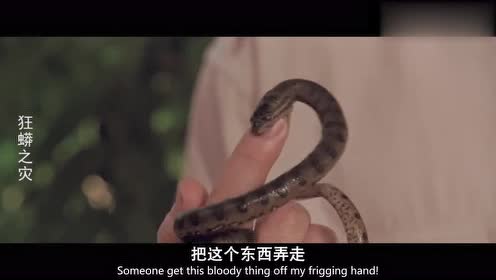 狂蟒之灾:突然下起了"蛇雨,船上到处是蛇,把美女们给吓坏了