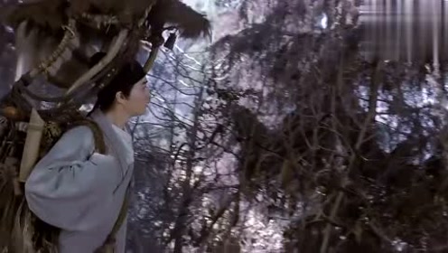 抓住偷水贼_水贼过河甭使狗刨出处_水贼过河甭使狗刨