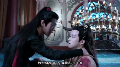 陈情令:蓝忘机受三十三道戒鞭:敢问叔父,孰正孰邪,孰