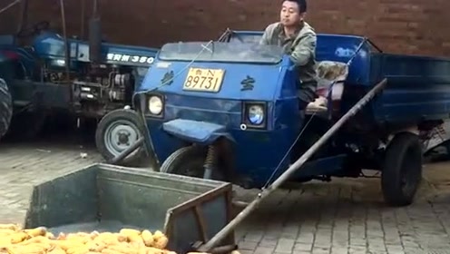 老爸自制圈玉米神器,三轮车都被改装成铲车了,铲车的地位可能要不保了