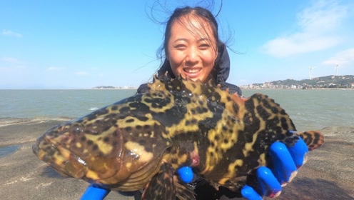 渔妹赶海发现天然洞穴,洞口放一排臭鱼诱饵钓钩,果然抓到大龙胆