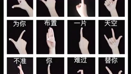 肖战版流星雨手势舞,被这个宝藏男孩圈粉太多了