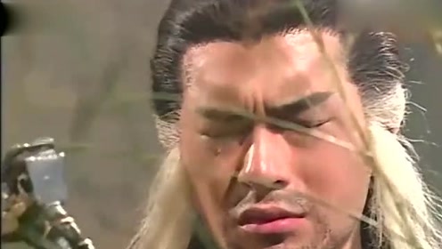 十六年期约已到,小龙女却没有出现,杨过心如死灰纵身跳下断肠崖