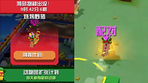 疯狂动物园:配对濒危动物"烧烤野猪"