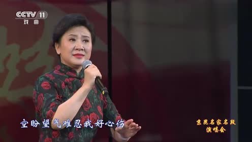 京剧老旦袁慧琴,京剧《对花枪》选段,一起欣赏一下吧