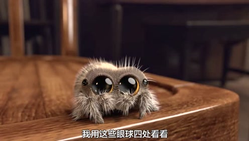 呆萌酥软可爱动画《大家好,我是蜘蛛卢卡斯》