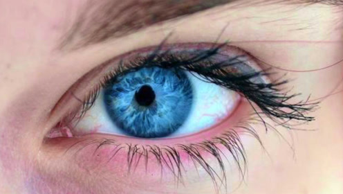 欧洲人为何有蓝眼睛?虹膜色素只是表象,根本原因是基因突变