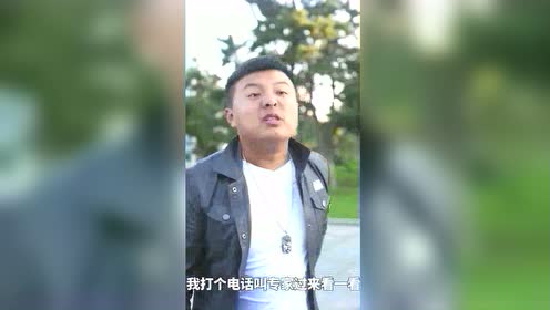 热血中华之陈氏集团千万救命花瓶被打碎，1-10