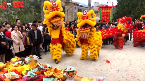 广东省普宁市梅林镇松楼村正月初六众神游春下集