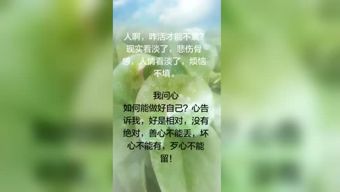 人情看淡了,烦恼不填.