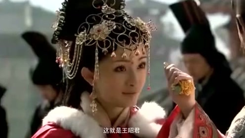正经的伪科普之四大美女之一 王昭君