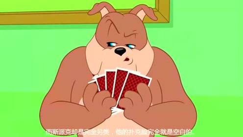 新猫和老鼠:就这种赢钱的方式,谁还愿意和斯派克一起玩!