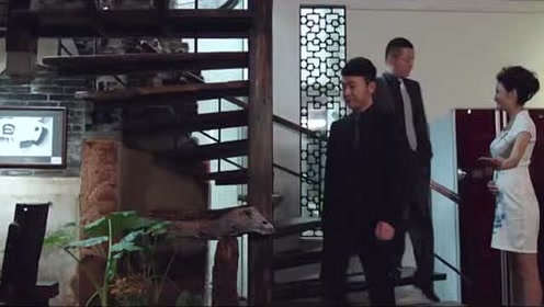 冷风暴:庄先生假扮沈木风引邵雪桐上钩,不料德叔着急