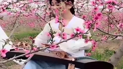 桃花源中小姐姐古筝弹奏《三生三世》曲调太优美了,犹如仙女下凡
